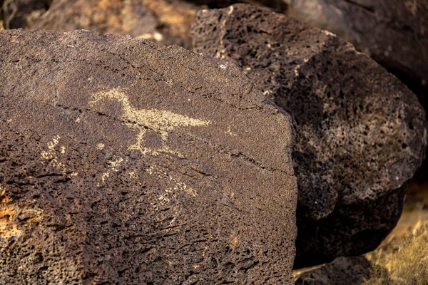 Petroglyph National Monument by null