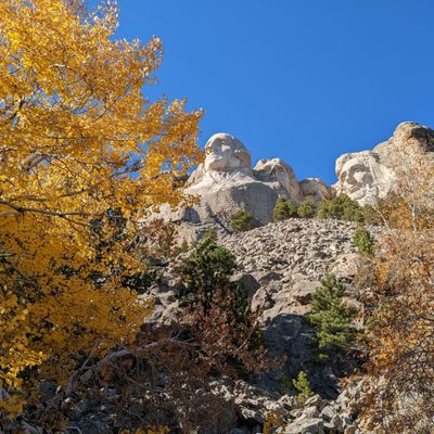 Mount Rushmore National Memorial by null