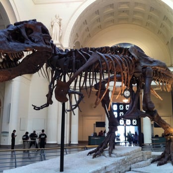 Shedd Aquarium - Aquariums Near Me - Chicago, Illinois