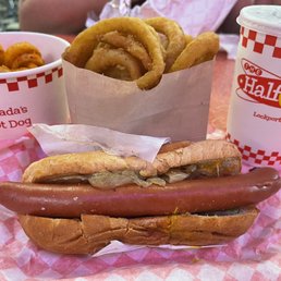 a hot dog and onion rings a hot dog and onion rings