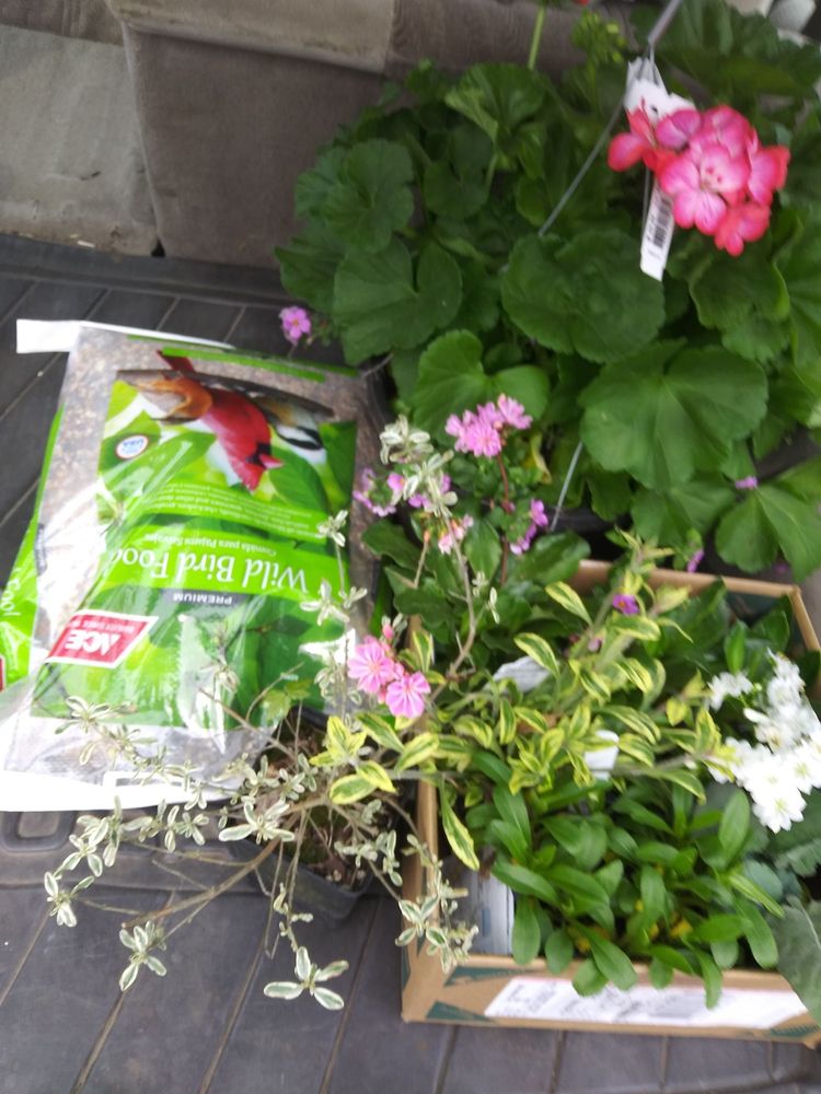 ST JOHNS ACE HARDWARE Updated September 2024 17 Photos & 80 Reviews 7825 N Lombard St