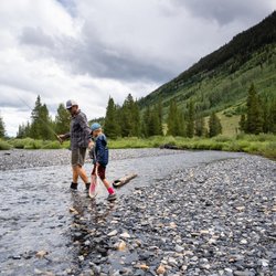 TaleTellers Fly Shop