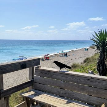 Blowing Rocks Preserve - Beaches Near Me - Hobe Sound, Florida Blowing Rocks Preserve - Beaches Near Me - Hobe Sound, Florida