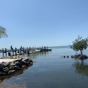 Marker 88 - View from our table - Seafood Near Me - Islamorada, Florida