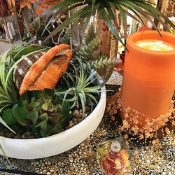 Bright World Candle - Handmade succulent arrangements and AquaFlame flameless candle