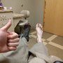 Photo of Family Foot Health Center