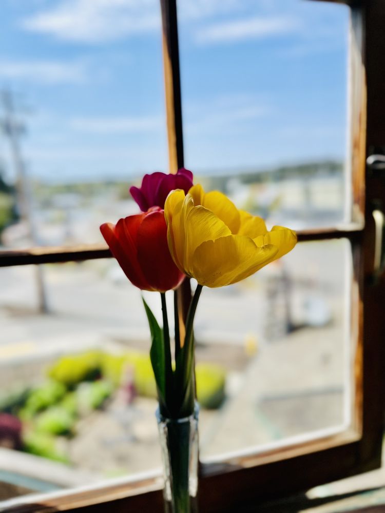 The Oyster & Thistle Restaurant and Pub