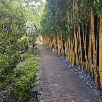 Gaige House - Bamboo outside the room - Hotels Near Me - Glen Ellen, California Gaige House - Bamboo outside the room - Hotels Near Me - Glen Ellen, California