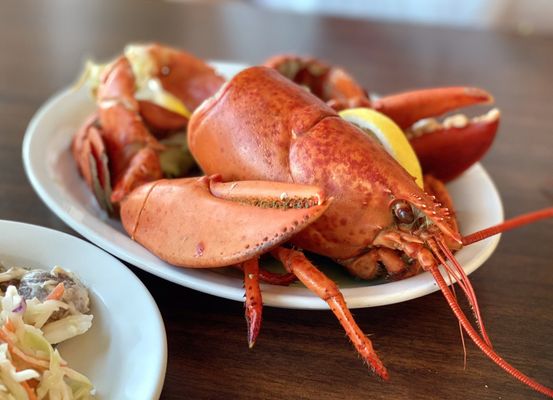 Baddeck Lobster Suppers by null