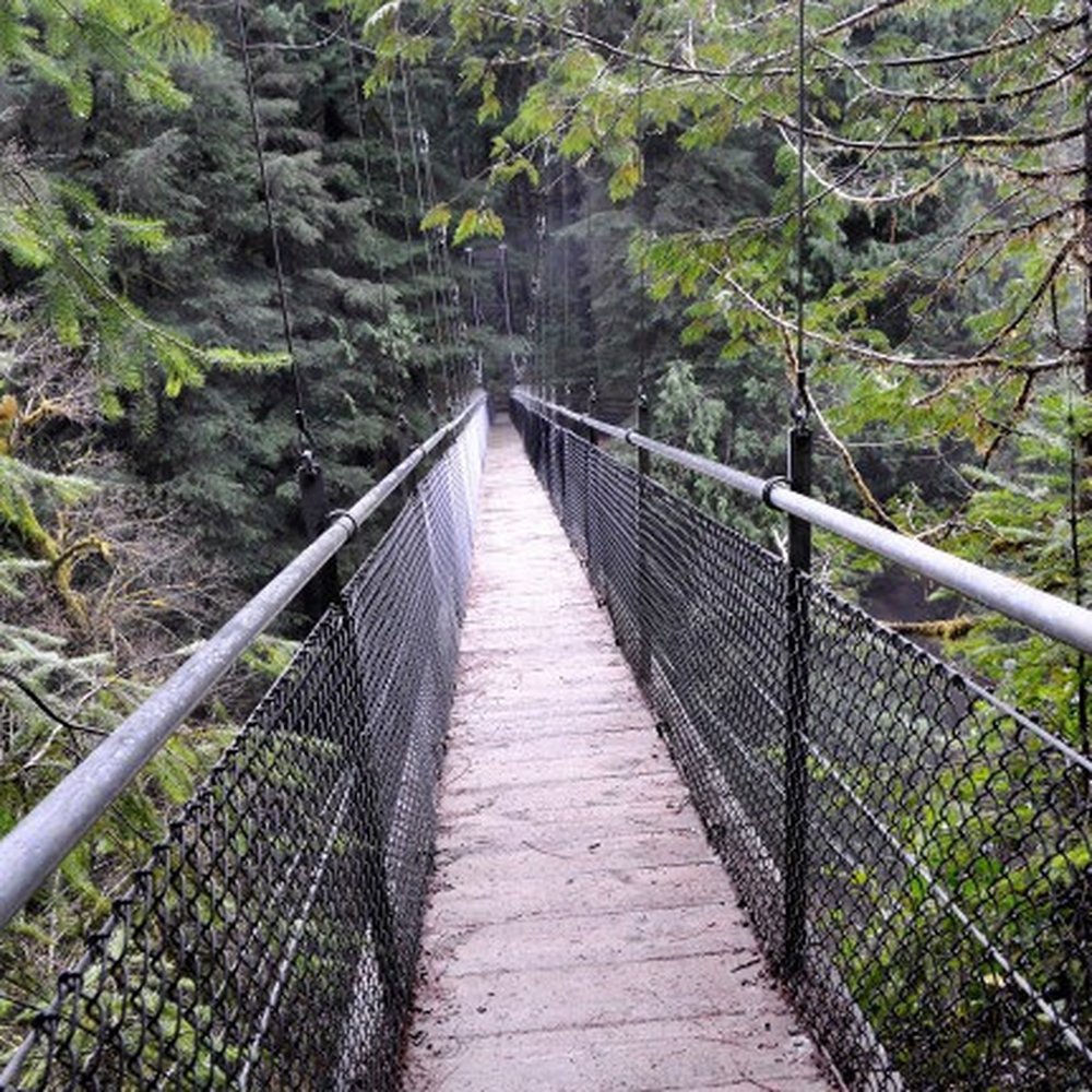 Drift Creek Fall And Bridge - Hiking Near Me - Otis, Oregon Drift Creek Fall And Bridge - Hiking Near Me - Otis, Oregon