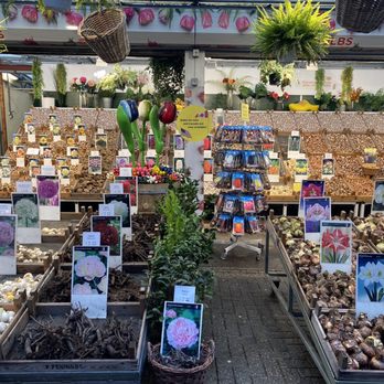 Bloemenmarkt - Bulbs and seeds - Florists Near Me - Amsterdam, New Hampshire