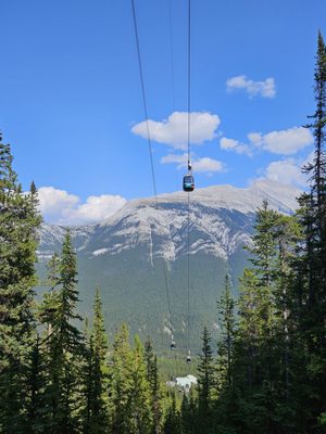 Sulphur Mountain by null