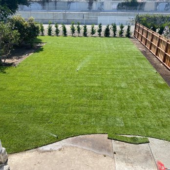 Rainbow Landscaping & Tree Service - New sod, sprinklers and trees. - Landscaping Near Me - Santa Ana, California Rainbow Landscaping & Tree Service - New sod, sprinklers and trees. - Landscaping Near Me - Santa Ana, California
