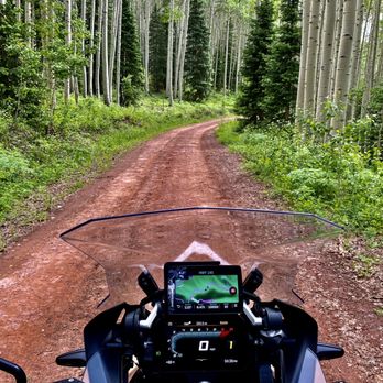 Moto Authority - Bliss ~ poplar trees Telluride area - Motorcycle Repair Near Me - Albuquerque, New Mexico