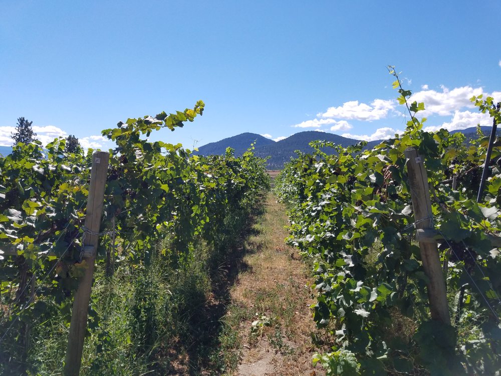 Giant Head Estate Winery Logo