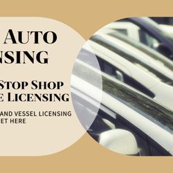 Lacey Auto Licensing