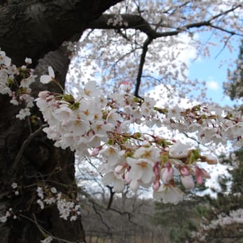 High Park - Parks Near Me - Toronto, Ontario