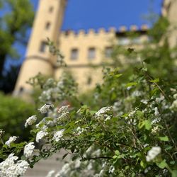 Schloss Hohenschwangau