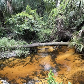 Bear Creek Nature Trail - Hiking Near Me - Winter Springs, Florida Bear Creek Nature Trail - Hiking Near Me - Winter Springs, Florida