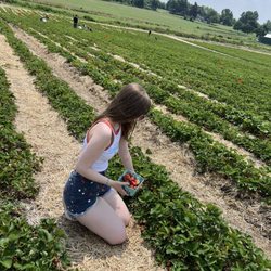 Gro-Moore Farms