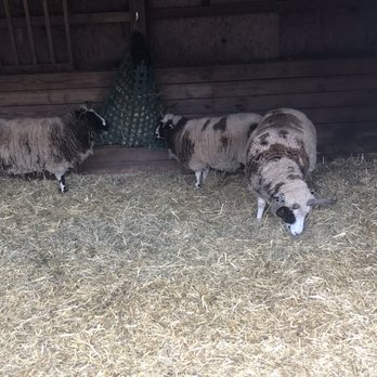 Muscoot Farm - Farmers Market Near Me - Katonah, New York