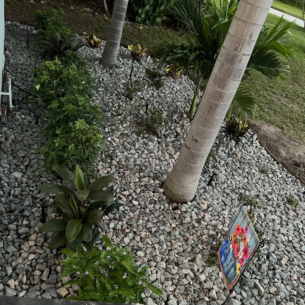 Cds landscaping - More details - Landscaping Near Me - Saint Petersburg, Florida