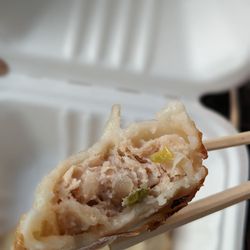 Juicy Dumpling - Cross-section of my pan-fried chicken dumpling