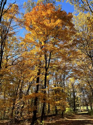 Harriman State Park by null