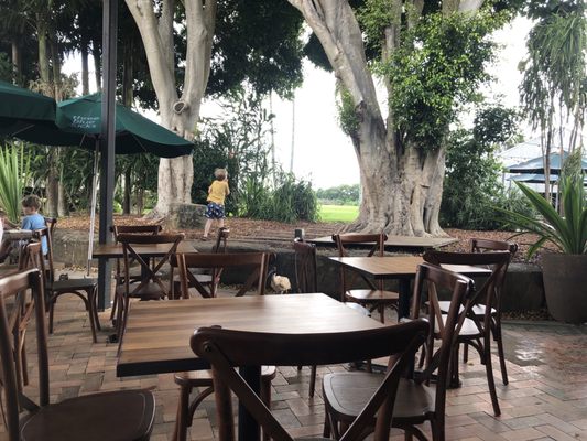 Three Blue Ducks, Byron Bay by null