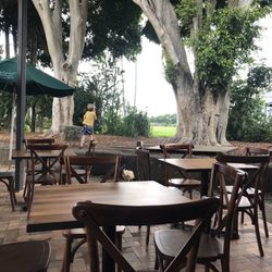 Three Blue Ducks, Byron Bay - Patio with Sunday roast dinner
