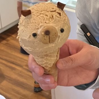 Eli's Ark - Doggy - Gelato Near Me - Chicago, Illinois Eli's Ark - Doggy - Gelato Near Me - Chicago, Illinois