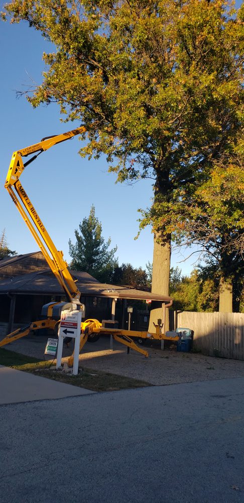 M and M Lawn Care Services - tree service in Cedar Rapids, IA