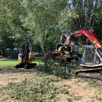 Spiders Tree Care Service - Tree Services Near Me
