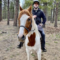 Wilderness Horse Adventures
