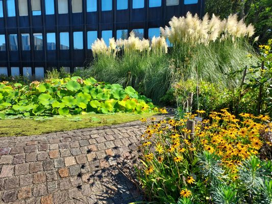 Botanical Garden by null