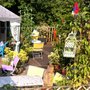 Photo of Mimosa Tea Garden