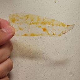 Delicious sushi plastic. Yum. Delicious sushi plastic. Yum.