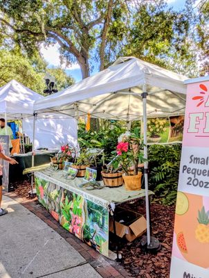 Orlando Farmers' Market by null