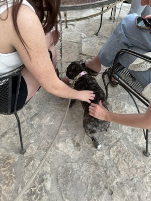 Cuantas Hamburguesas by null