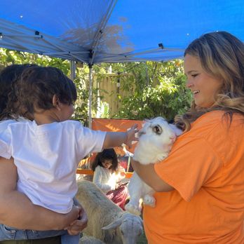D'Rose Petting Zoo - Petting Zoos Near Me - Gilroy, California