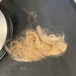 Snip Salon