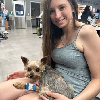 Veterinary Emergency Group - Emergency Pet Hospital Near Me - Encinitas, California