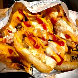 El Hot Dog Street Dogs - Taquito fries