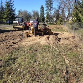 RMAC Tree Service - Tree Services Near Me