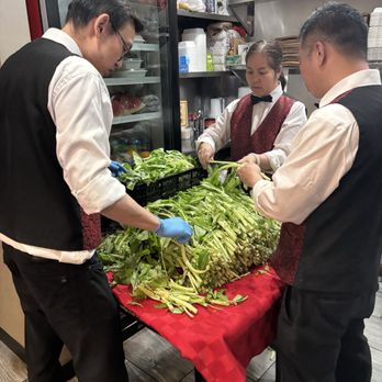 Canton Manor - Staff veggie prep - Chinese Near Me - Bayside, New York