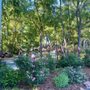 Photo of Hillside Gardens