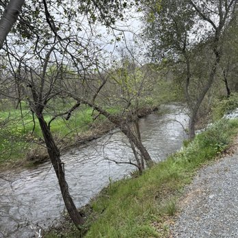Miner's Ravine Trail - Dry Creek - Hiking Near Me - Roseville, California Miner's Ravine Trail - Dry Creek - Hiking Near Me - Roseville, California
