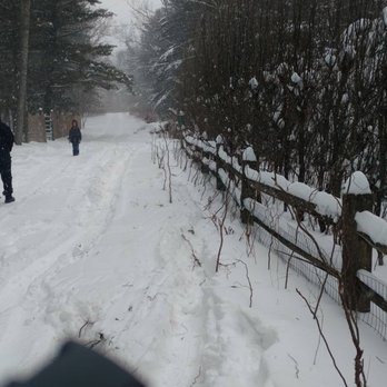 Auto Hook Towing & Recovery - Knocking into the fence? Unprofessional. - Towing Near Me - Sand Lake, Michigan Auto Hook Towing & Recovery - Knocking into the fence? Unprofessional. - Towing Near Me - Sand Lake, Michigan