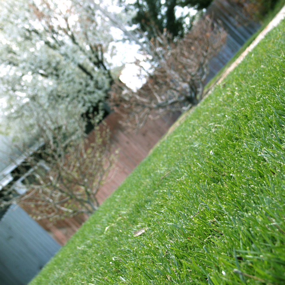 Exceptional Lawn - Exceptional Lawn does great work - our lawn is super green and it's actually snowing outside right now - Lawn Services Near Me Exceptional Lawn - Exceptional Lawn does great work - our lawn is super green and it's actually snowing outside right now - Lawn Services Near Me