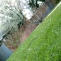 Photo of Exceptional Lawn